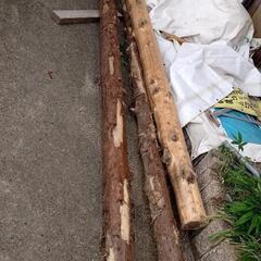 杉の丸太　一本の値段です