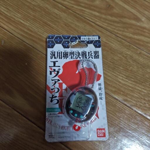 【本日夕方まで値引き】エヴァっち　アヤナミレイ（仮称）モデル未開封②