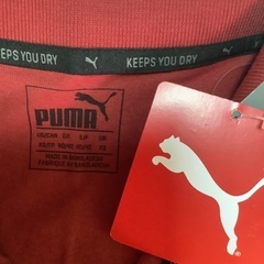🉐新品PUMAポロシャツの画像