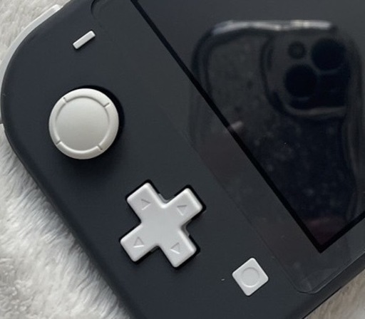 ［取引中］ほぼ未使用Switchライト