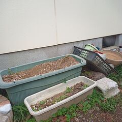「植木用コンテナのお譲り」無料
