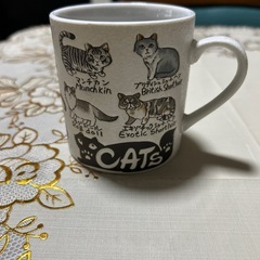 猫ちゃん図鑑　コーヒーカップ