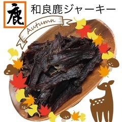 ペット用　　できたで鹿肉ジャーキー