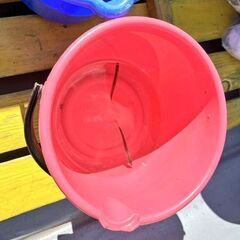 入鹿池でワカサギ100匹を目指したい