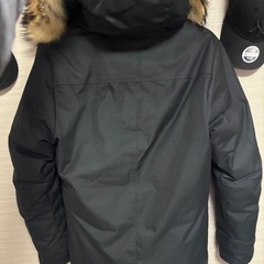 ピレネックス アヌシーダウン