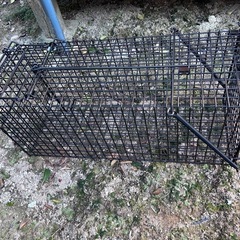 獣・小動物用捕獲器