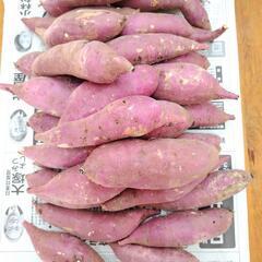 紅はるか　5kg　＋特大サイズ1個の画像