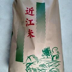 近江米 玄米 みずかがみ ３０キロ 令和6年新米収獲 特別栽培米