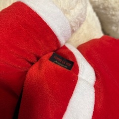 くまのぬいぐるみの画像