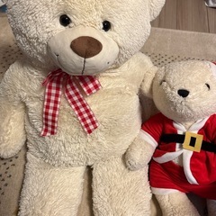 くまのぬいぐるみの画像