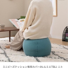ミニビーズクッション　未使用に近いの画像