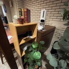 タンス 観葉植物 ハンガーラック Xmasツリー 洗濯機などまとめて