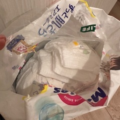 オムツ　Lサイズ　ビックサイズの画像