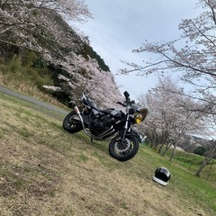 ゼットファーザー風防