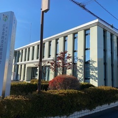 【個人事業主、起業メンバー募集】高収入を目指す方必見✨