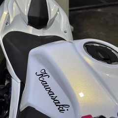kawasaki Ninja250 ex250pの画像