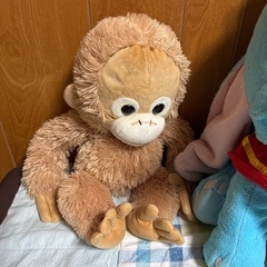 ぬいぐるみ
の画像