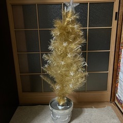 クリスマスツリーの画像