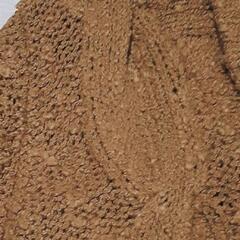 新品未使用　シェルレイ ロングカーディガン　ニット　冬服　M　38の画像