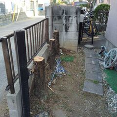 木の伐採　枝切り　剪定　お安くやりますよ - 剪定/造園