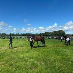 競馬　一口馬主仲間集まれ❗️
