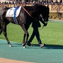 競馬　一口馬主仲間集まれ❗️ - 友達