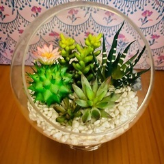 観葉植物　フェイクグリーン　多肉植物詰め合わせ 置物 造花　の画像