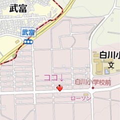 多肉植物＆フリーマーケット - 糸満市
