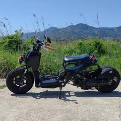 ホンダズーマーカスタム不動の画像