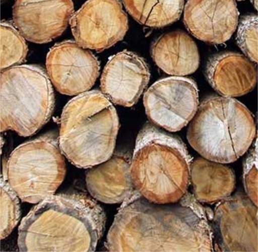 まき　薪、2t車1台分　お得　スウェーデントーチにも可能！たくさん積んでいきます　松は無し！