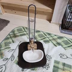 犬用ハーネスとリードと水飲みの画像