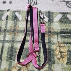 犬用ハーネスとリードと水飲みの画像