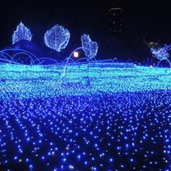 【太陽発電★電力不要 ソーラーイルミネーション ブルー 32m×300LED】クリスマス ②の画像