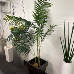アレカパーム　観葉植物　大型　室内　造花　フェイクグリーンの画像