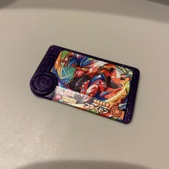 ポケモンフレンダ　コライドン未使用