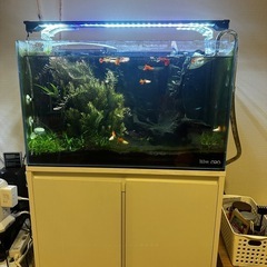 水槽の中古が安い！激安で譲ります・無料であげます｜ジモティー