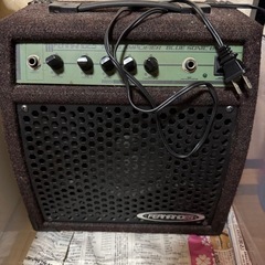 フェルナンデス　アンプ
