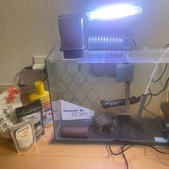 145✖︎450✖︎350ガラス製熱帯魚水槽一式