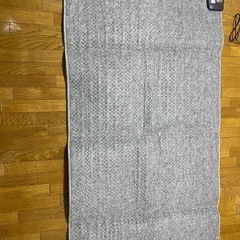 【お譲り先決定済】小さく畳める電気カーペット1畳用の画像