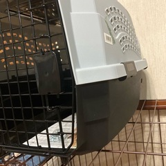 ペットシーツほか子犬用品