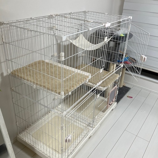 猫　ゲージ　