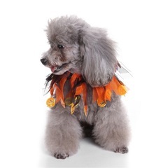 【新品未使用】ペット用 コスチューム 首周り ハロウィンの画像