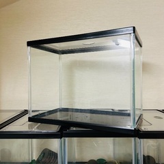 Suisaku 水槽　Sサイズ12Lブラック枠　引取希望