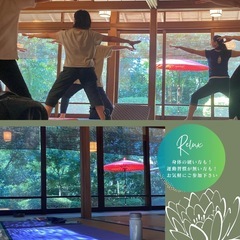 【11/24(祝)】季節の和菓子付きお茶室ヨガ【紅葉見頃】の画像