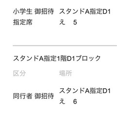 バスケ　親子　チケット