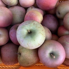 取り引き者決定🙇加工用リンゴ🍎20kg🉐ジャムやジュース、アップ...