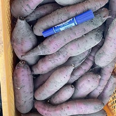 今年採れた紅はるか  1キロで150¥の画像