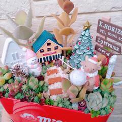 多肉植物　寄せ植え　そのまま飾れます♡の画像
