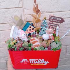 多肉植物　寄せ植え　そのまま飾れます♡の画像