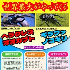 ブランチ茅ヶ崎3にてカブトムシ・クワガタの催事を行います。(雨天決行
